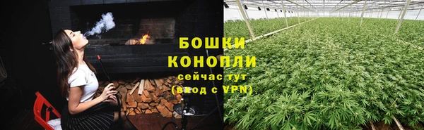 кокс Бородино