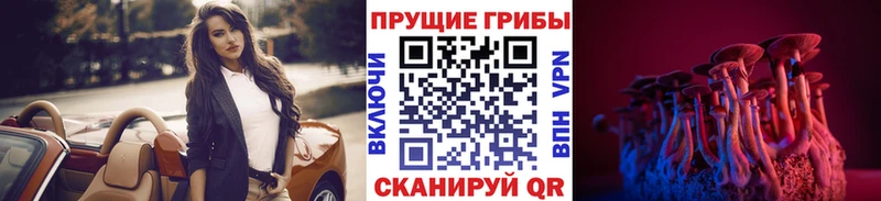 Псилоцибиновые грибы MAGIC MUSHROOMS  мега ТОР  Дигора 